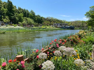 浜名湖花博2024に投稿された画像（2024/5/3）