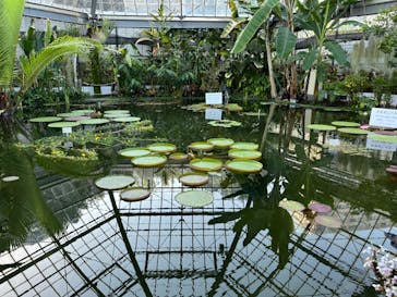 熱川バナナワニ園に投稿された画像（2024/5/3）