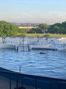 京都水族館に投稿された画像（2024/5/3）