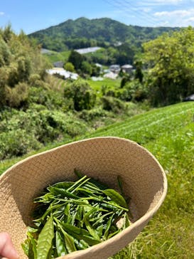 和束家に投稿された画像（2024/5/3）
