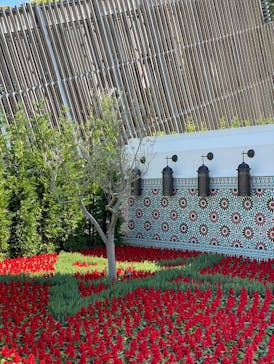 ぎふワールド・ローズガーデンに投稿された画像（2024/5/3）