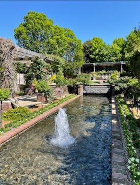 ぎふワールド・ローズガーデンに投稿された画像（2024/5/3）