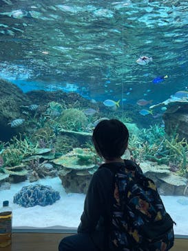 名古屋港水族館に投稿された画像（2024/5/3）