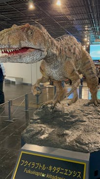 福井県立恐竜博物館に投稿された画像（2024/5/3）