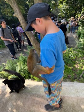 長崎バイオパークに投稿された画像（2024/5/3）