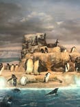 名古屋港水族館に投稿された画像（2024/5/3）