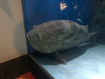 名古屋港水族館に投稿された画像（2024/5/3）