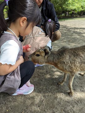 長崎バイオパークに投稿された画像（2024/5/3）