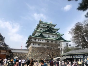 名古屋城に投稿された画像（2024/5/3）