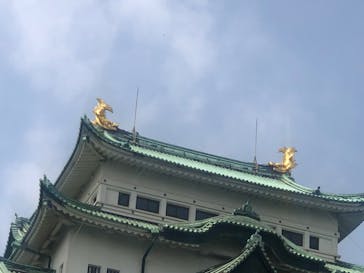 名古屋城に投稿された画像（2024/5/3）