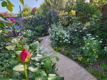 横浜イングリッシュガーデンに投稿された画像（2024/5/3）