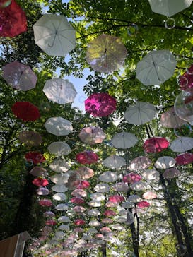 ムーミンバレーパークに投稿された画像（2024/5/3）