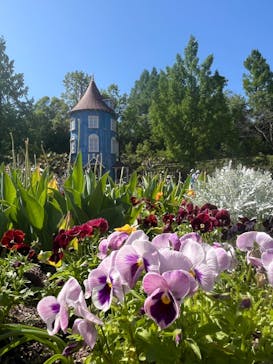 ムーミンバレーパークに投稿された画像（2024/5/3）