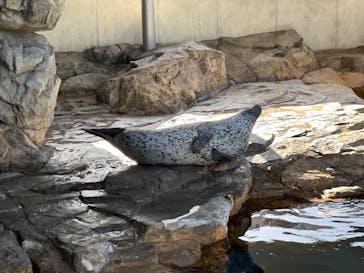 しながわ水族館に投稿された画像（2024/5/3）