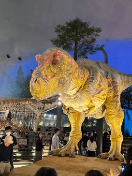 福井県立恐竜博物館に投稿された画像（2024/5/3）