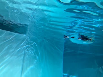 AOAO SAPPOROに投稿された画像（2024/5/3）