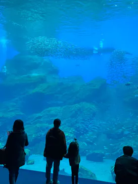 仙台うみの杜水族館に投稿された画像（2024/5/3）