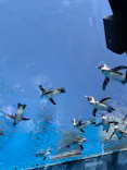 サンシャイン水族館に投稿された画像（2024/5/4）