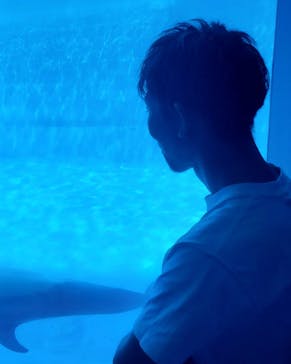 名古屋港水族館に投稿された画像（2024/5/3）