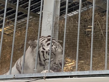 NIFREL（ニフレル）に投稿された画像（2024/5/3）