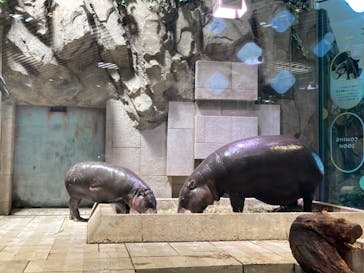 NIFREL（ニフレル）に投稿された画像（2024/5/3）