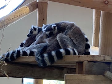 NIFREL（ニフレル）に投稿された画像（2024/5/3）