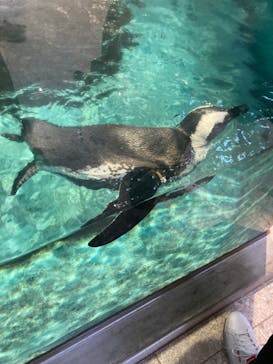 NIFREL（ニフレル）に投稿された画像（2024/5/3）