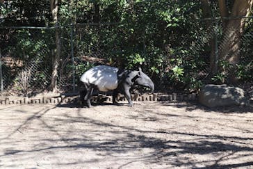 千葉市動物公園に投稿された画像（2024/5/3）