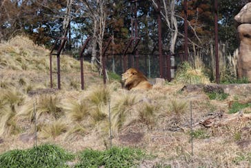 千葉市動物公園に投稿された画像（2024/5/3）