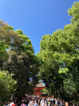 京阪電車に投稿された画像（2024/5/3）