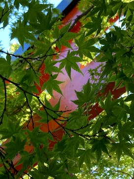 京阪電車に投稿された画像（2024/5/3）