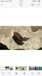 天王寺動物園に投稿された画像（2024/5/4）