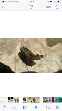 天王寺動物園に投稿された画像（2024/5/3）