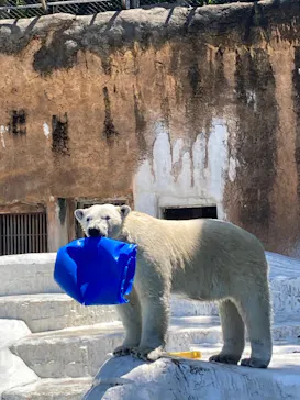 天王寺動物園に投稿された画像（2024/5/3）