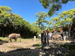 よこはま動物園ズーラシアに投稿された画像（2024/5/4）