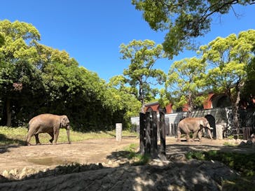 よこはま動物園ズーラシアに投稿された画像（2024/5/3）