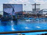 名古屋港水族館に投稿された画像（2024/5/4）