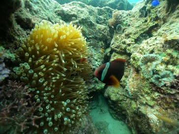 武藤潜水に投稿された画像（2024/5/3）