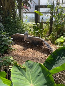 神戸どうぶつ王国に投稿された画像（2024/5/3）