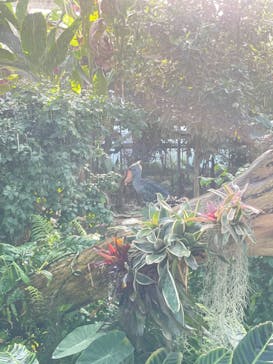 神戸どうぶつ王国に投稿された画像（2024/5/3）