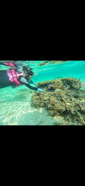 武藤潜水に投稿された画像（2024/5/3）