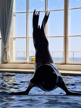 アクアワールド茨城県大洗水族館に投稿された画像（2024/5/3）