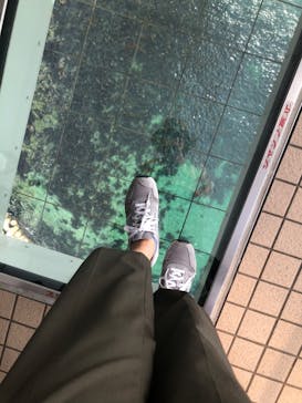 徳島県立 渦の道に投稿された画像（2024/5/3）