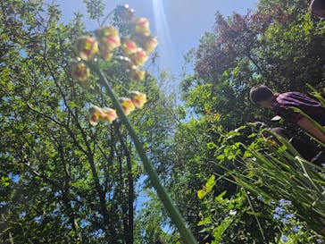 横浜イングリッシュガーデンに投稿された画像（2024/5/3）