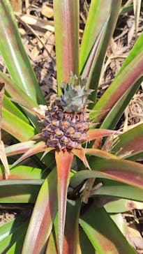 おきなわワールドに投稿された画像（2024/5/3）