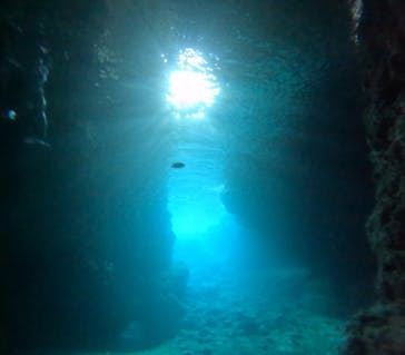 武藤潜水に投稿された画像（2024/5/3）