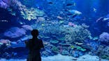 大分マリーンパレス水族館 「うみたまご」に投稿された画像（2024/5/4）