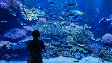 大分マリーンパレス水族館 「うみたまご」に投稿された画像（2024/5/4）