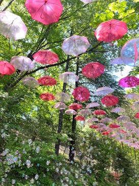 ムーミンバレーパークに投稿された画像（2024/5/4）