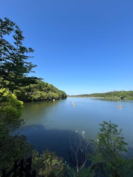 ムーミンバレーパークに投稿された画像（2024/5/4）